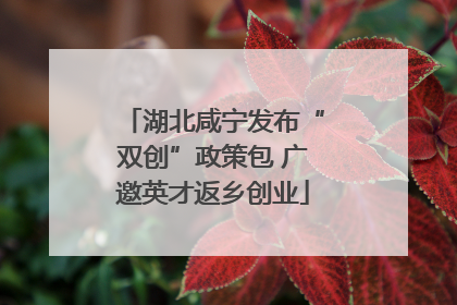 湖北咸宁发布“双创”政策包 广邀英才返乡创业