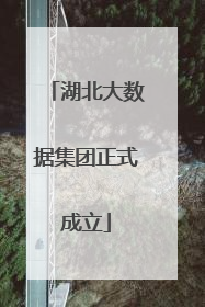 湖北大数据集团正式成立