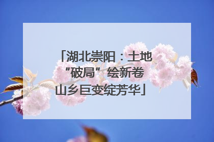 湖北崇阳：土地“破局”绘新卷 山乡巨变绽芳华