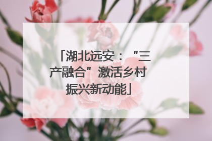 湖北远安：“三产融合”激活乡村振兴新动能