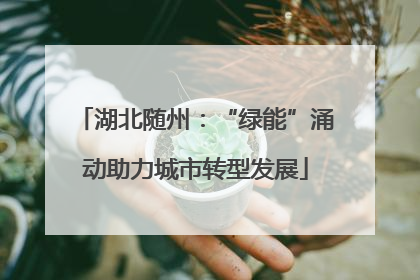 湖北随州：“绿能”涌动助力城市转型发展