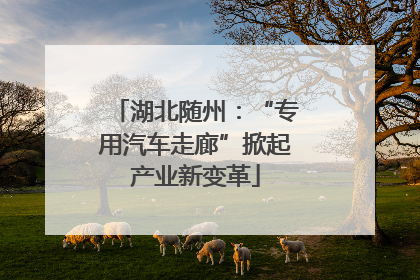 湖北随州：“专用汽车走廊”掀起产业新变革