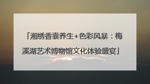 湘绣香囊养生+色彩风暴：梅溪湖艺术博物馆文化体验盛宴