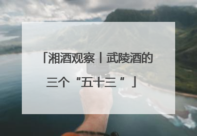 湘酒观察丨武陵酒的三个“五十三 ”