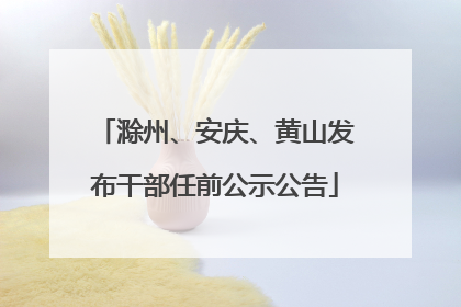 滁州、安庆、黄山发布干部任前公示公告