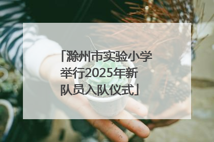 滁州市实验小学举行2025年新队员入队仪式