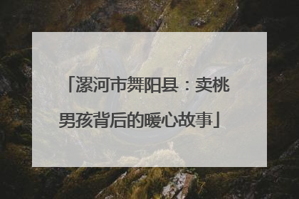 漯河市舞阳县：卖桃男孩背后的暖心故事