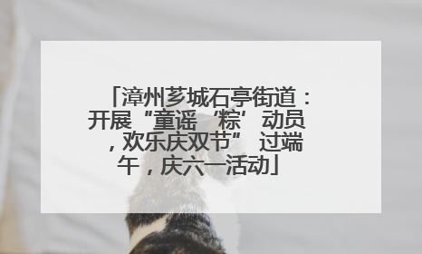 漳州芗城石亭街道：开展“童谣‘粽’动员，欢乐庆双节” 过端午，庆六一活动