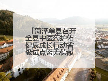 菏泽单县召开全县中医药护佑健康成长行动省级试点暨无偿献血工作会议