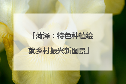 菏泽：特色种植绘就乡村振兴新图景