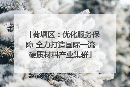 荷塘区：优化服务保障 全力打造国际一流硬质材料产业集群
