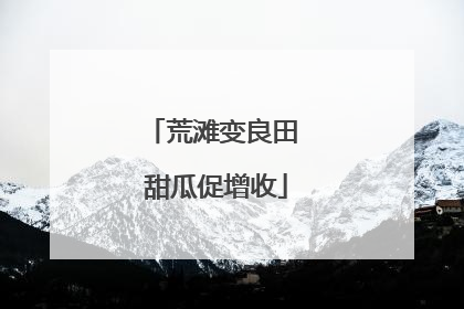 荒滩变良田 甜瓜促增收