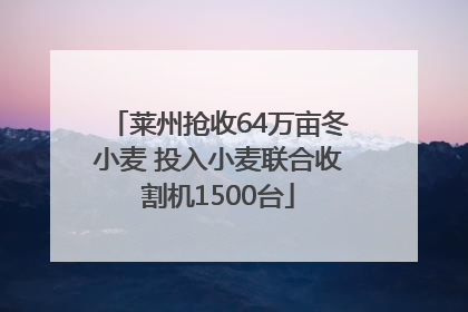 莱州抢收64万亩冬小麦 投入小麦联合收割机1500台