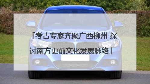 考古专家齐聚广西柳州 探讨南方史前文化发展脉络