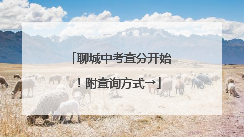 聊城中考查分开始！附查询方式→