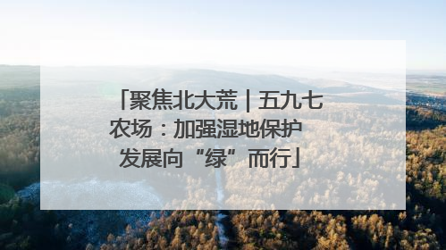 聚焦北大荒｜五九七农场：加强湿地保护 发展向“绿”而行