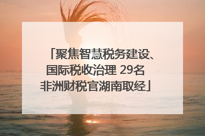 聚焦智慧税务建设、国际税收治理 29名非洲财税官湖南取经