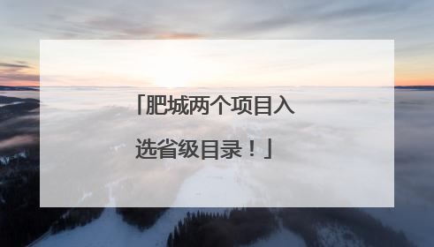 肥城两个项目入选省级目录！