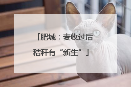 肥城：麦收过后秸秆有“新生”