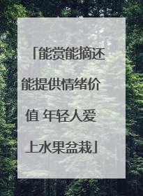 能赏能摘还能提供情绪价值 年轻人爱上水果盆栽