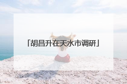 胡昌升在天水市调研
