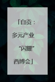 自贡：多元产业“闪耀”西博会