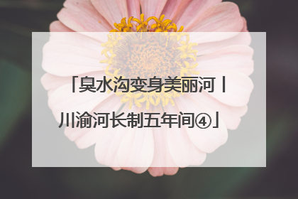 臭水沟变身美丽河丨川渝河长制五年间④