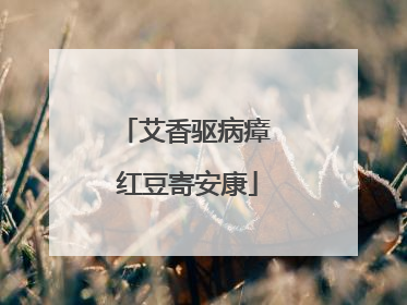 艾香驱病瘴 红豆寄安康