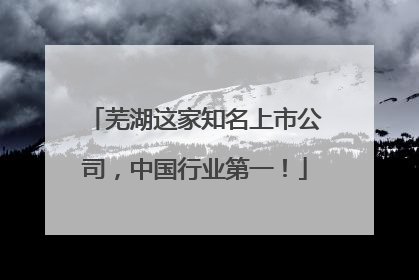 芜湖这家知名上市公司，中国行业第一！