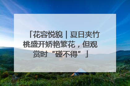 花容悦貌｜夏日夹竹桃盛开娇艳繁花，但观赏时“碰不得”