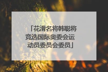花滑名将韩聪将竞选国际奥委会运动员委员会委员