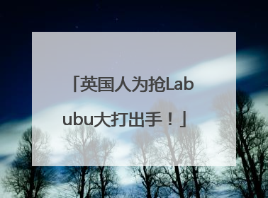 英国人为抢Labubu大打出手！