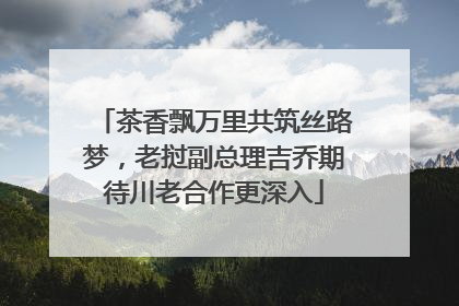 茶香飘万里共筑丝路梦，老挝副总理吉乔期待川老合作更深入
