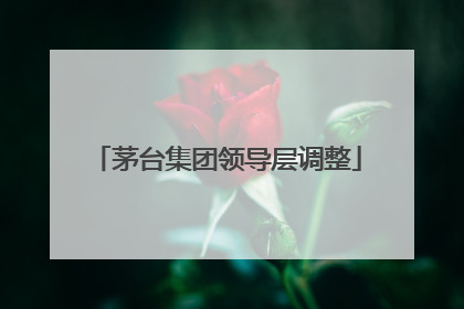 茅台集团领导层调整