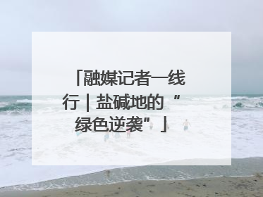 融媒记者一线行｜盐碱地的“绿色逆袭”