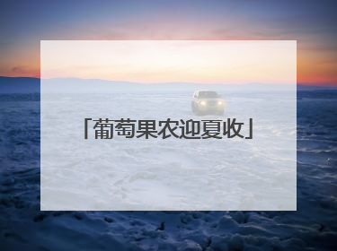 葡萄果农迎夏收