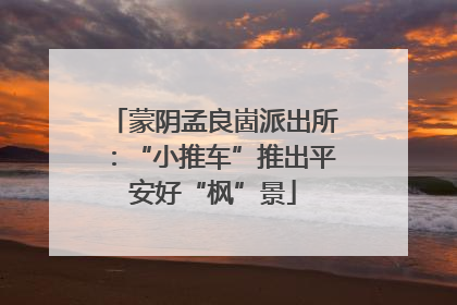 蒙阴孟良崮派出所：“小推车”推出平安好“枫”景