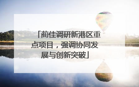 蔺佳调研新港区重点项目，强调协同发展与创新突破