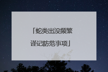 蛇类出没频繁 谨记防范事项