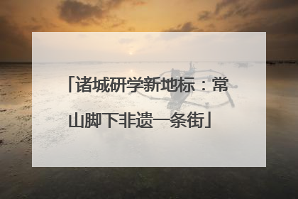 诸城研学新地标：常山脚下非遗一条街