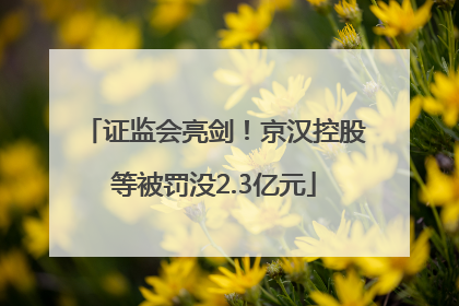 证监会亮剑！京汉控股等被罚没2.3亿元