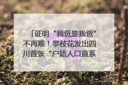 证明“我爸是我爸”不再难！攀枝花发出四川首张“户籍人口直系亲属关系谱”