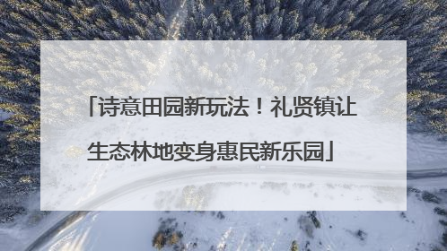 诗意田园新玩法！礼贤镇让生态林地变身惠民新乐园