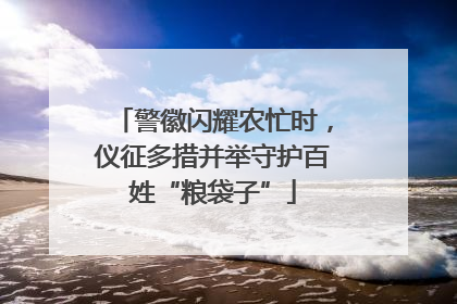 警徽闪耀农忙时，仪征多措并举守护百姓“粮袋子”