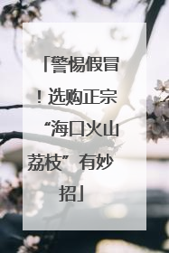 警惕假冒！选购正宗“海口火山荔枝”有妙招