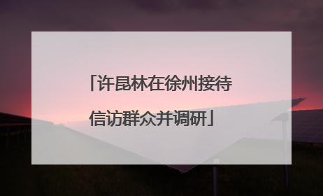 许昆林在徐州接待信访群众并调研