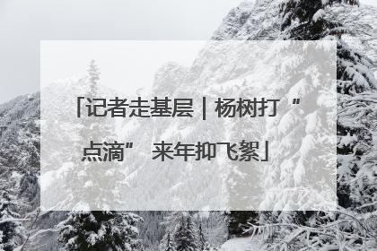 记者走基层｜杨树打“点滴” 来年抑飞絮