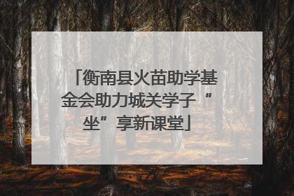 衡南县火苗助学基金会助力城关学子“坐”享新课堂