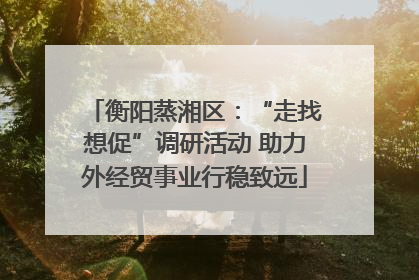 衡阳蒸湘区：“走找想促”调研活动 助力外经贸事业行稳致远