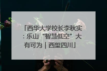 西华大学校长李秋实：乐山“智慧低空”大有可为｜西望四川